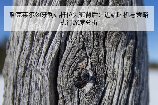 lei-ke-lai-er-xiong-ya-li-zhan-gan-wei-shi-guan-bei-hou-jin-zhan-shi-ji-yu-ce-lve-zhi-xing-shen-du-fen-xi-3-209.jpg